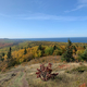 Autumn Forest and Lake Superior