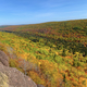 Autumn Trees and landscape in the Gorge from Raptor's Ridge