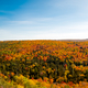 Colorful treetops landscape in the Autumn in Copper Harbor