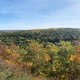 Panoramic View, autumn forest on earth