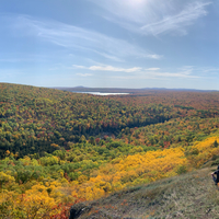 People overlooking the autumn forest