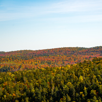 Sky and forest landscape in Autumn