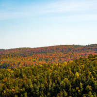 Sky and forest landscape in Autumn