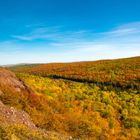 Yellow and Red Colors of Autumn at Copper Harbor