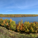 Autumn colored trees landscape with trees in the forest