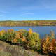 Autumn colors in full bloom in Houghton