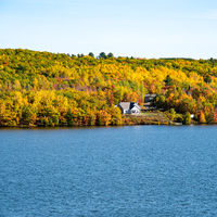 House among the autumn trees landscape