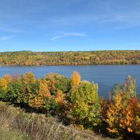 Shoreline landscape with autumn trees in Houghton