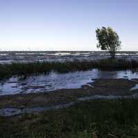 Lake Michigan landscape and Horizon with a tree at J.W. Wells State Park