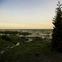 Shoreline nature landscape at J.W. Wells State Park, Michigan