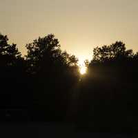 Sunset behind the Trees at J.W. Wells State Park, Michigan