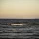 Waters of Lake Michigan and horizon at Dusk at J.W. Wells State Park, Michigan