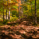 Big Rocks on the trail up Sugarloaf mountain