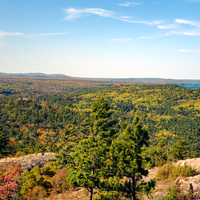 Forest and Lake Superior landscape at Marquette