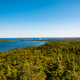 Superior Bay, Autumn Forest, and Pier