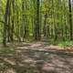 Forest at the top at Mount Arvon, Michigan