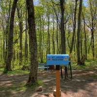 Mailbox registration at the high point at Mount Arvon, Michigan