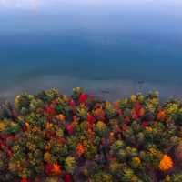 Great lake Shoreline with autumn foliage in Michigan