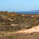 Sand dunes landscape near lake Michigan