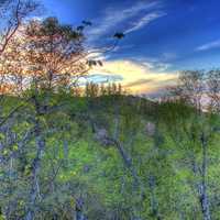 Sunset over the dunes and forest at Pictured Rocks National Lakeshore, Michigan