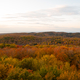 Autumn Forest overlook at Dusk