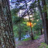 Far view of sunset between trees at Porcupine Mountains State Park, Michigan