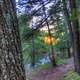 Far view of sunset between trees at Porcupine Mountains State Park, Michigan