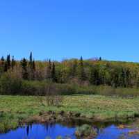 Forest and Pond at Porcupine Mountains State Park, Michigan