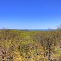 Forest around the lookout at Porcupine Mountains State Park, Michigan