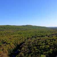 Forest at Porcupine Mountains State Park, Michigan