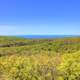 Further view of the forest and superior at Porcupine Mountains State Park, Michigan