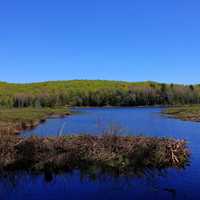 Pond and Forest at Porcupine Mountains State Park, Michigan