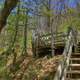 Steps up to the platform at Porcupine Mountains State Park, Michigan