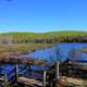 View from the steps at Porcupine Mountains State Park, Michigan