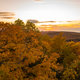 Orange sunset over the forest