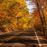 Autumn Forest corridor on the roadway