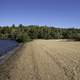 Beach and shoreline landscape at Van Riper State Park, Michigan