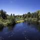 Forest and scenic river at Van Riper State Park, Michigan