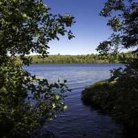 Lake Michigamme Through a clearing at Van Riper State Park