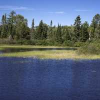 Landscape across the Peshekee River at Van Riper State Park, Michigan