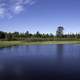 Peshekee River landscape in Van Riper State Park, Michigan