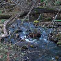 Another mini-waterfall at Beaver Creek Valley State Park, Minnesota