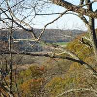 Another view of the forest and beyond at Beaver Creek Valley State Park, Minnesota