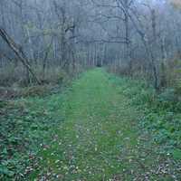 Hiking Path at Beaver Creek Valley State Park, Minnesota