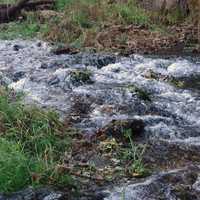 Rapids at Beaver Creek Valley State Park, Minnesota