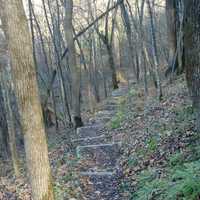 Steps on the trail at Beaver Creek Valley State Park, Minnesota 