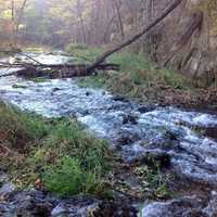 Stream view at Beaver Creek Valley State Park, Minnesota