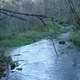 View of stream at Beaver Creek Valley State Park, Minnesota