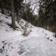 Hiking path through the snow in the forest at Cascade River State Park, Minnesota