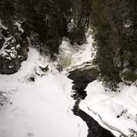 Landscape of the Cascade River and trees in Cascade River State Park, Minnesota